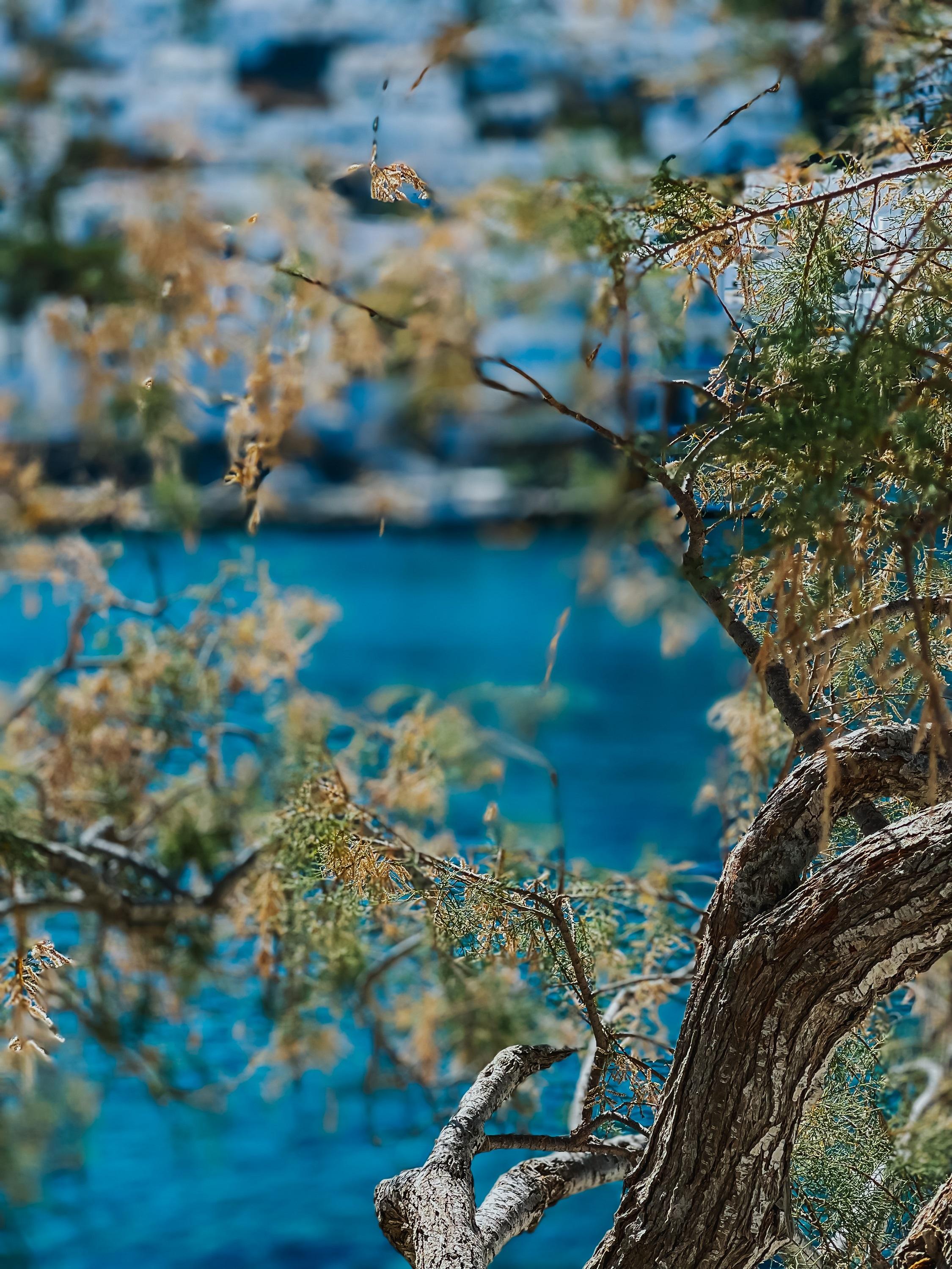 Vithos Aparthotel Astypalaia Ngoại thất bức ảnh