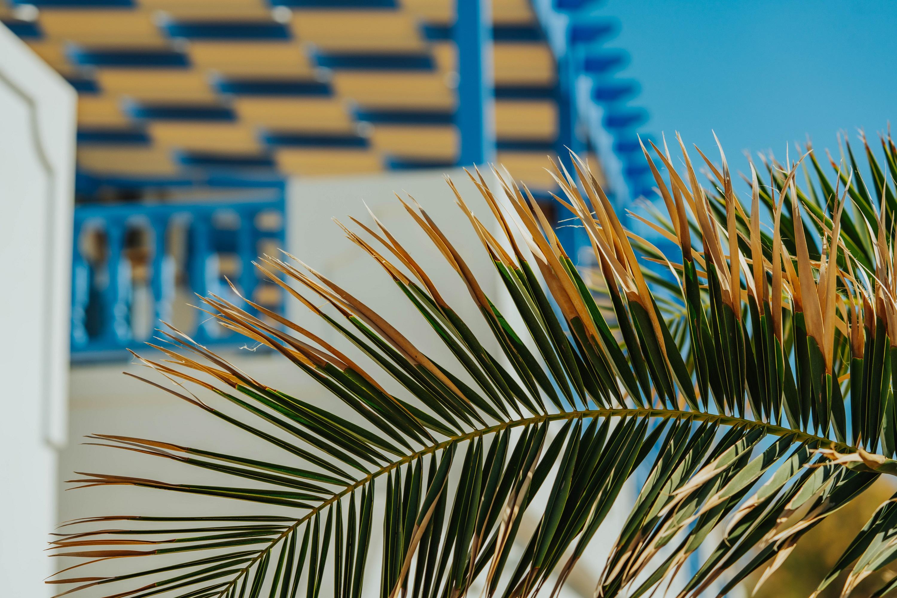 Vithos Aparthotel Astypalaia Ngoại thất bức ảnh